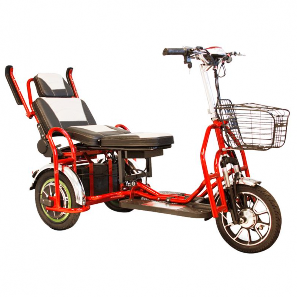 Электротрицикл Elbike Адъютант Double Twix (a4)