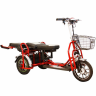 Электротрицикл Elbike Адъютант Double Twix (a4)