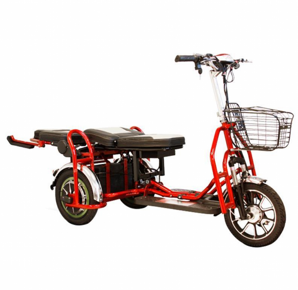 Электротрицикл Elbike Адъютант Double Twix (a4)