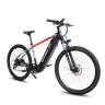 Электровелосипед WHITE SIBERIA ALLROAD PRO 29 750W