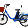 Электровелосипед GreenCamel Трайк-B (R24 500W 48V 20Ah)